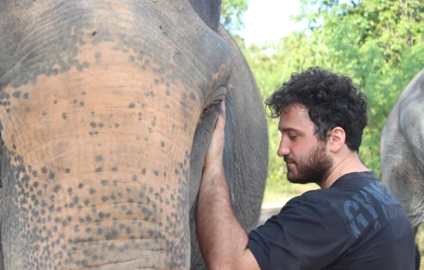 Elephant Sanctuary : Feed and Bath