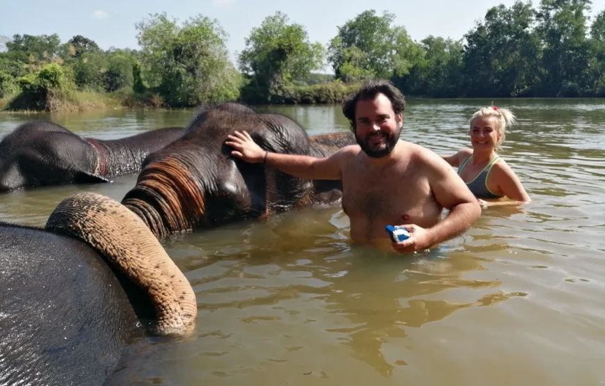 Elephant Sanctuary : Feed and Bath