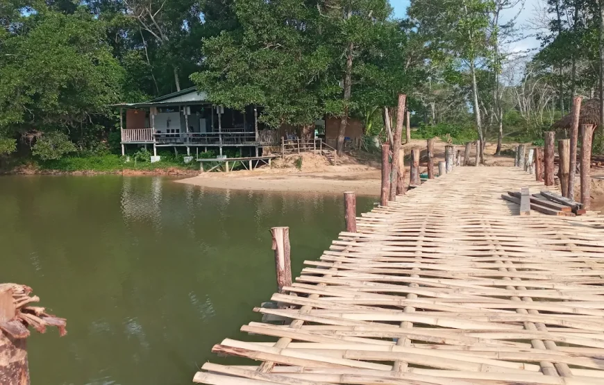 Elephant Sanctuary : Feed and Bath