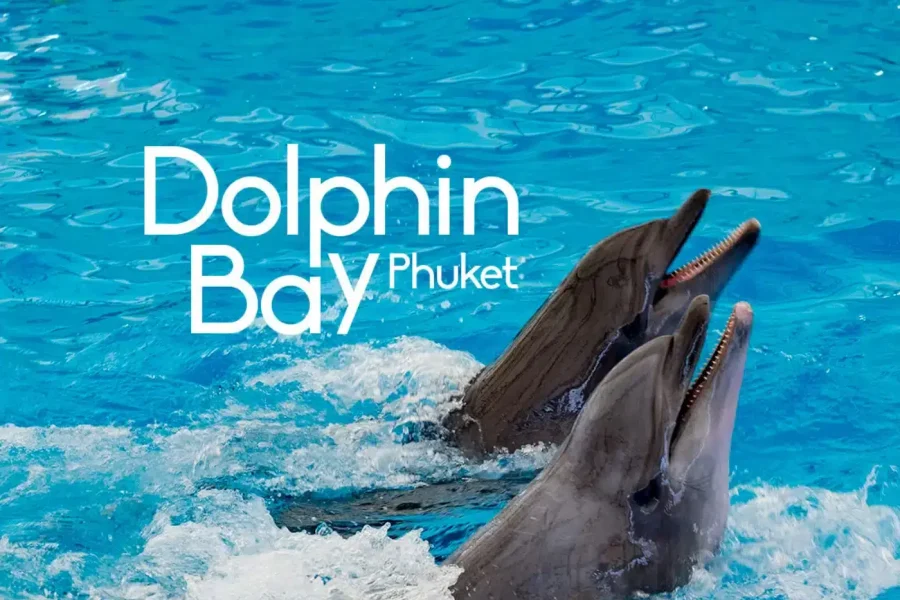 Dolphin Show
