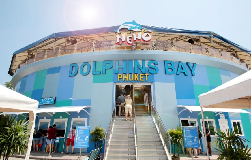 Dolphin Show