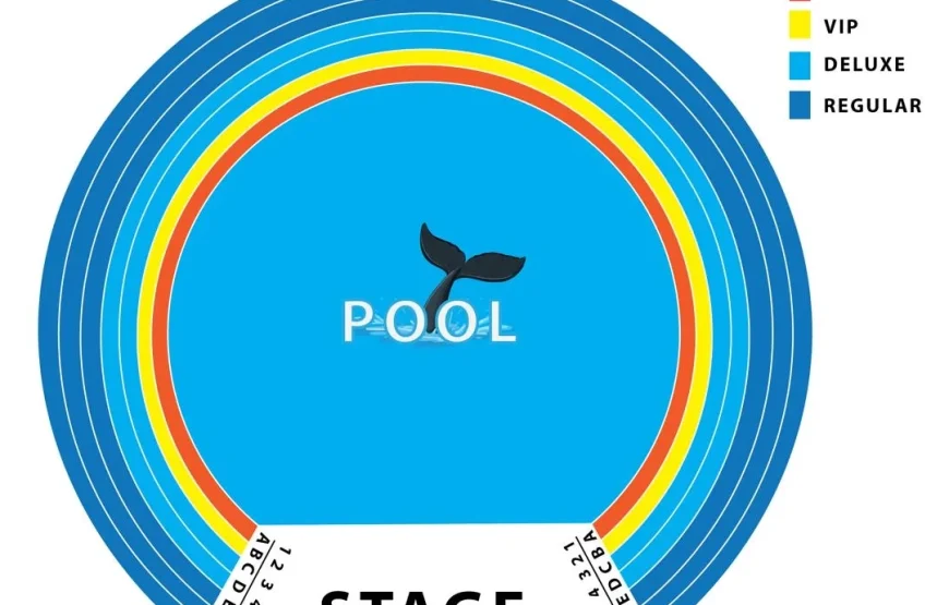 Dolphin Show